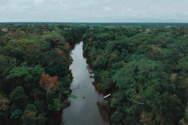 8 Days 7 Nights on Pacaya Samiria National Reserve - Amazon Experience ...