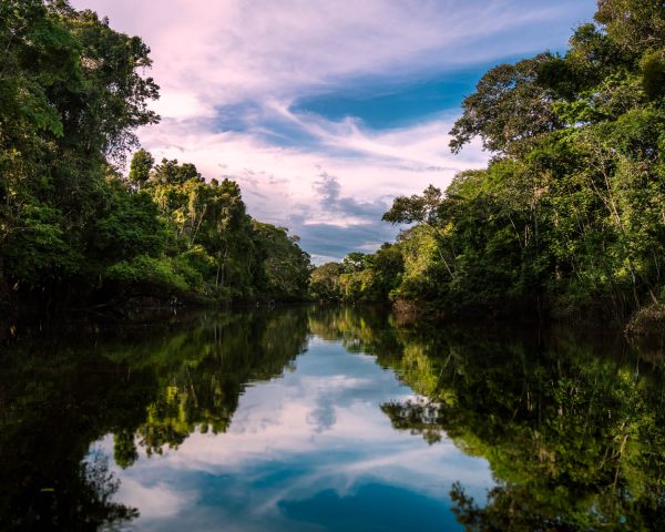 What to do in Iquitos Peru? - Amazon Experience - Tours in the Amazon River